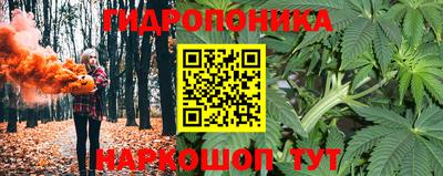 крисы Обь