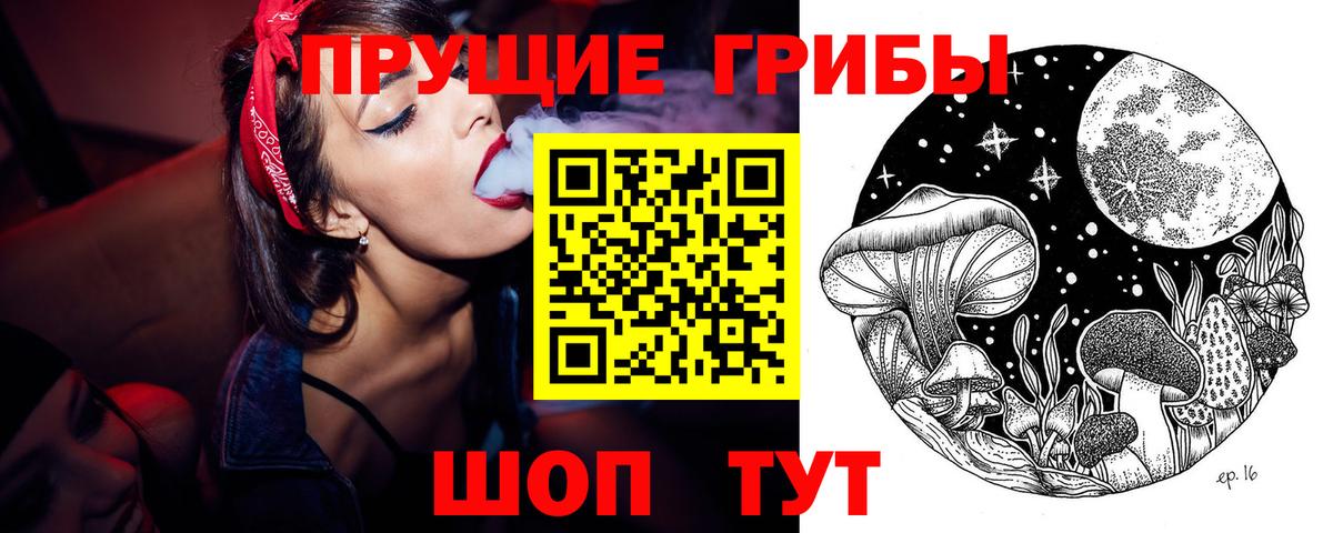 Ржев  Псилоцибиновые грибы GOLDEN TEACHER  Вход с VPN  Псилоцибиновые грибы Psilocybe 