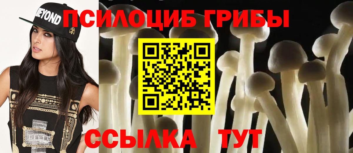 Галлюциногенные грибы Psilocybine cubensis Ржев